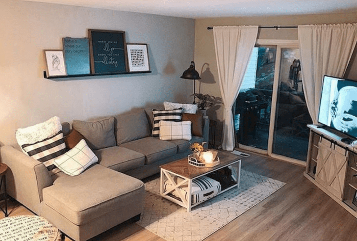 How to decorate living room on budget