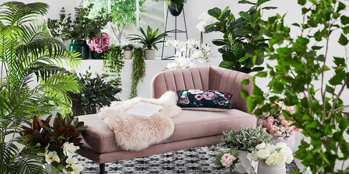 How to decorate plants in living room